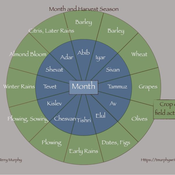 Chart showing the harvest seasons