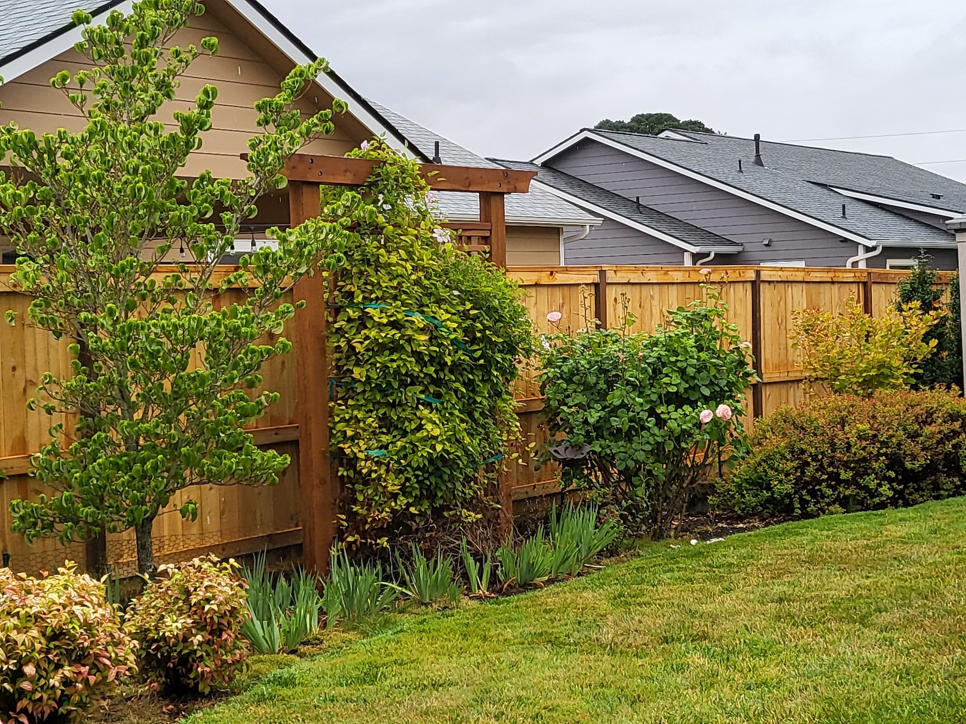 Backyard fence